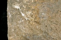 北投石藏品圖，第8張